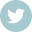 twitter-icon